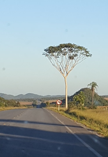 copy-of-20190627_074024